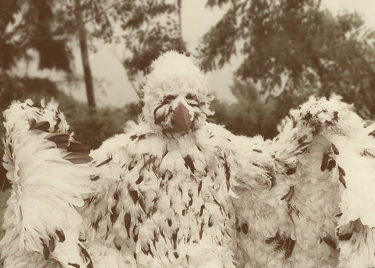 Jatayu – Son of Arun, Saviour of Sita Mata