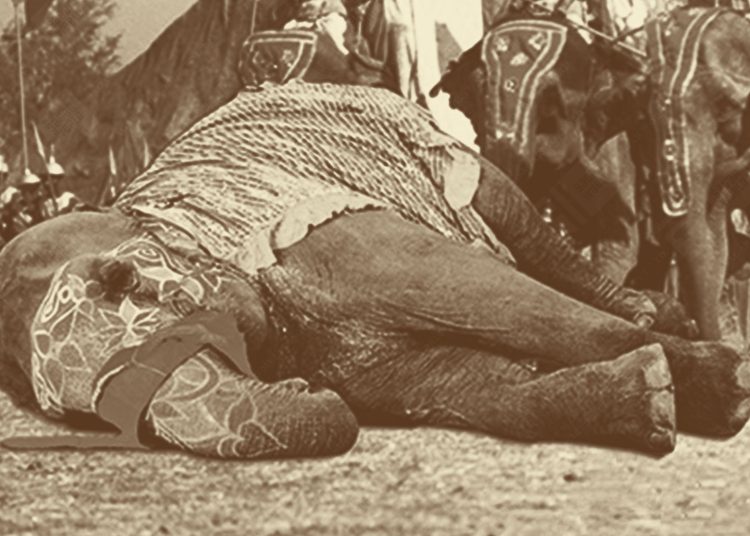 Ashwathama the elephant is dead! – Chapter 44