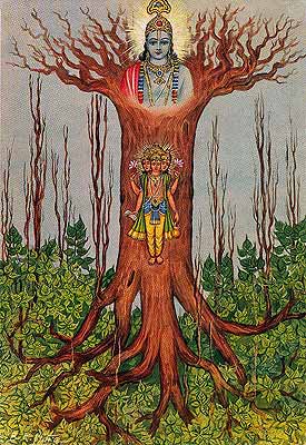 The Fruit-bearing tree of Karma | Sagar World Blog