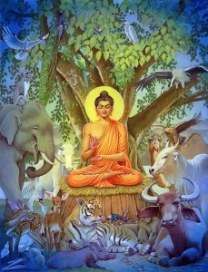 Childhood name of clearance gautama buddha