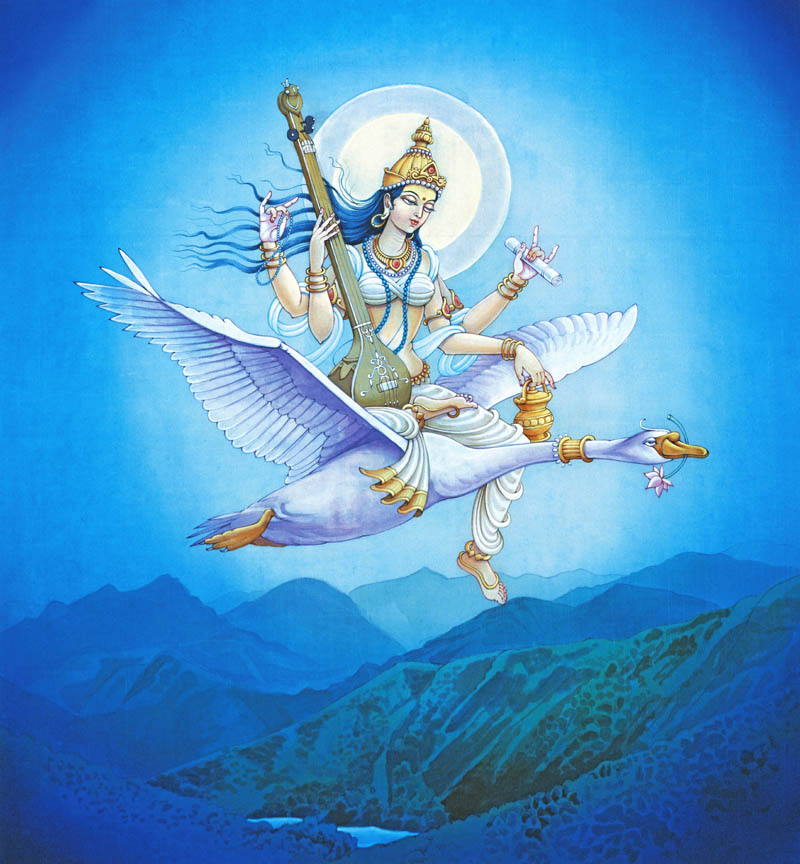 Saraswati visual data 8