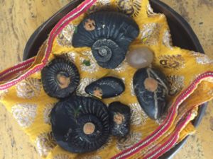 Different types of Shaligram Stones