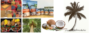 Coconut tree and its different products 