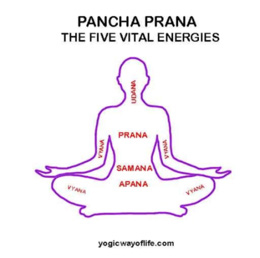 Pancha Prana Vayu - The Five Energy Flows in the body