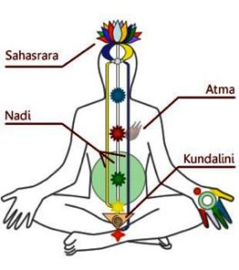 Pancha Prana Vayus and Chakras – Online Sanatan Yoga