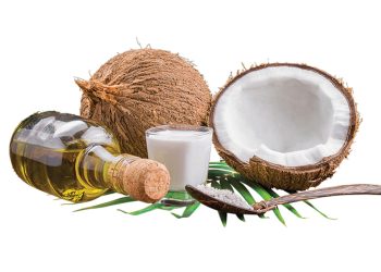 Plants store data in their memory hard disc